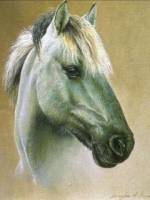 Рисунок лошади