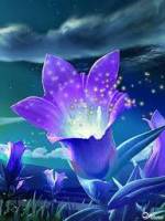 http://foto-cvetov.com/lilii/lilija_30.gif