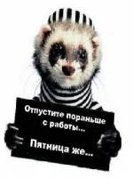 прикольные на телефон самсунг