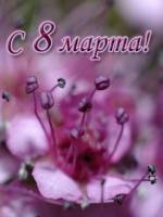 Нарисованные на 8 марта