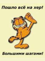 анимированные кошки