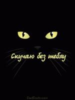 анимированные на телефон 240х320