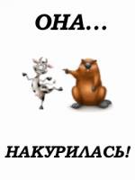 анимированные из игр