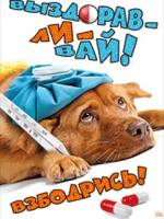 с надписью выздоравливай