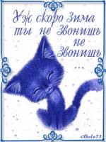 котов с надписями