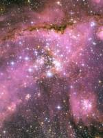 Розовые звезды падают