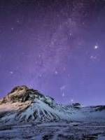 звезды музыки