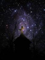 Самые красивые звезды