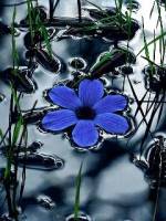240 400 природа