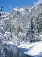 Лес в зимнее время картинки